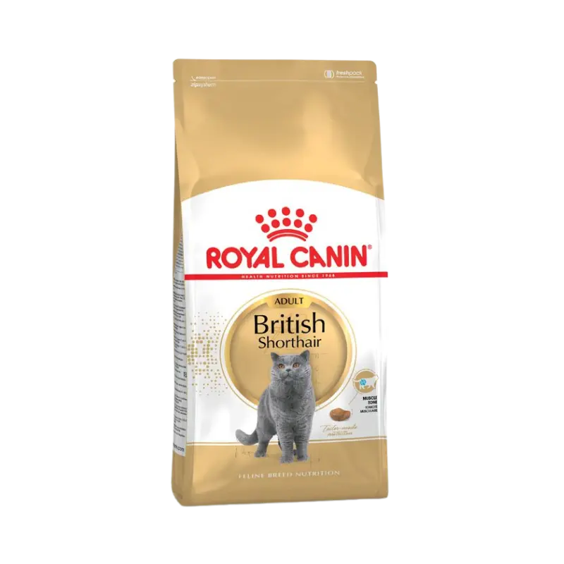 غذای خشک گربه بالغ بریتیش با موهای کوتاه برند Royal canin رویال کنین