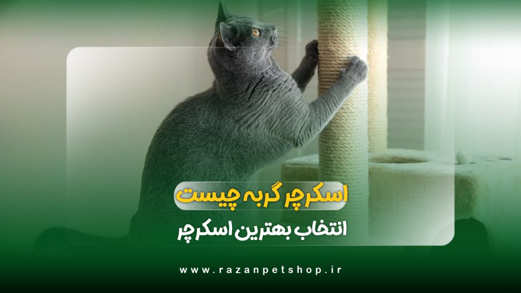 اسکرچر گربه چیست؟