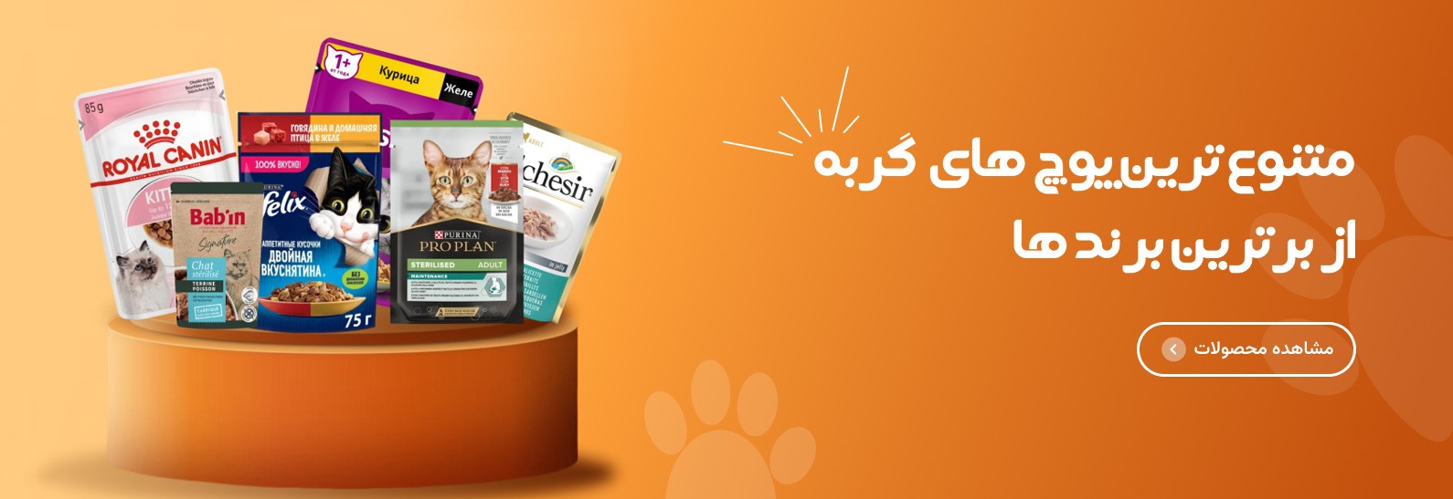 خرید انواع پوچ گربه