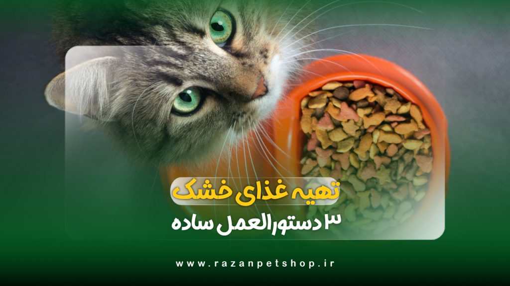 طرز تهیه غذای خشک گربه در خانه