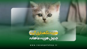هزینه نگهداری از گربه