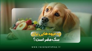 چه میوه هایی برای سگ مضر است؟