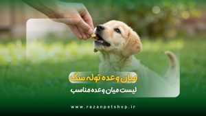 میان وعده برای توله سگ