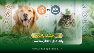 غذای خشک یا غذای خانگی؟